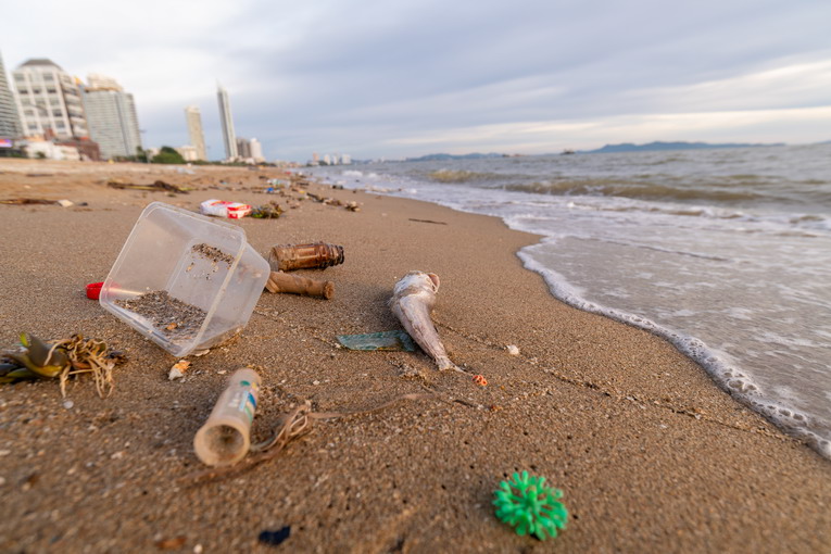L’acidificazione degli oceani: un problema silenzioso
