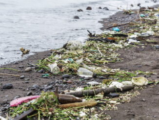 L'inquinamento sonoro sottomarino: minaccia nascosta per la fauna marina