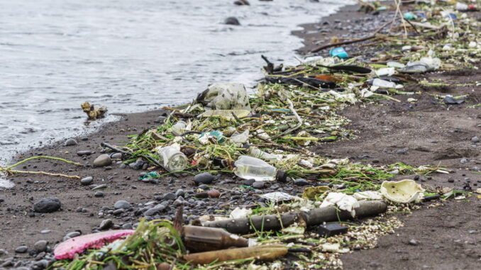 L'inquinamento sonoro sottomarino: minaccia nascosta per la fauna marina