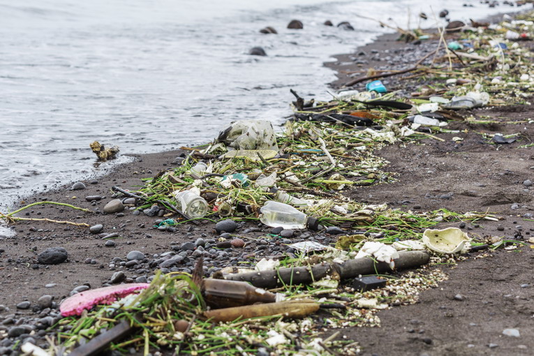 L’inquinamento sonoro sottomarino: minaccia nascosta per la fauna marina