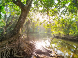 Servizi ecosistemici essenziali