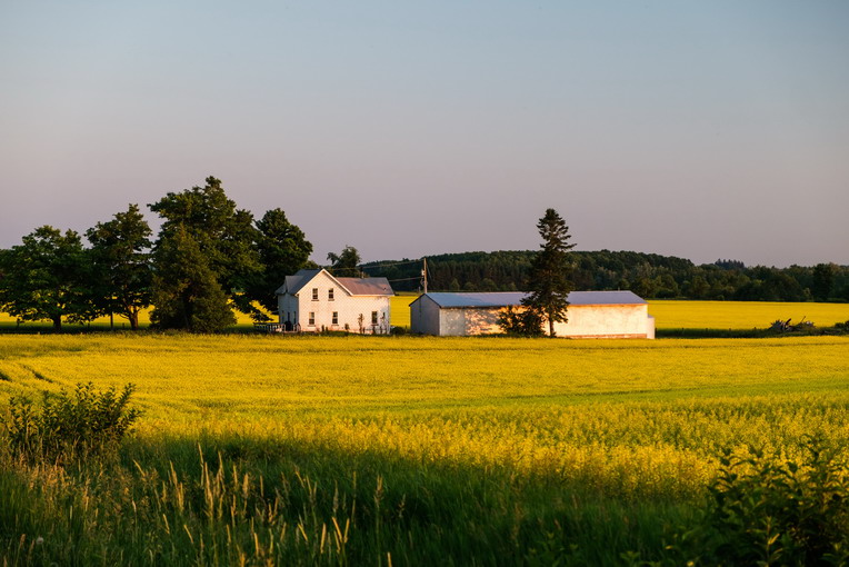 Tecniche moderne di rotazione delle colture e tecnologia agricola
