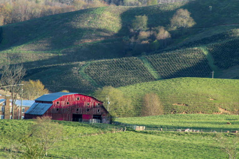 Esempi di rotazione delle colture in agricoltura biologica
