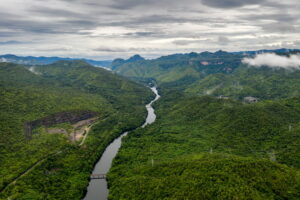 Amazzonia: la più grande foresta pluviale del pianeta