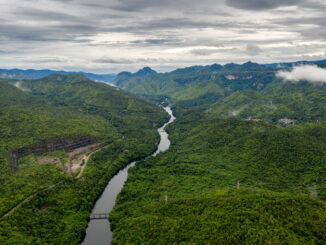 Amazzonia: la più grande foresta pluviale del pianeta