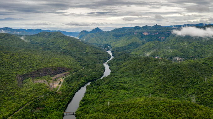 Amazzonia: la più grande foresta pluviale del pianeta