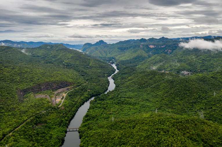 Amazzonia: la più grande foresta pluviale del pianeta