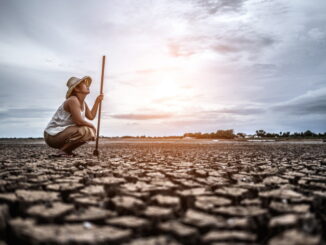 Siccità e agricoltura: sfide e opportunità