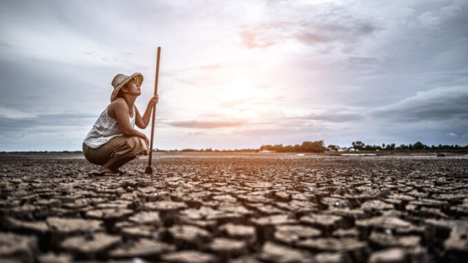 Siccità e agricoltura: sfide e opportunità