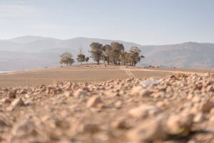 La desertificazione e il rischio globale