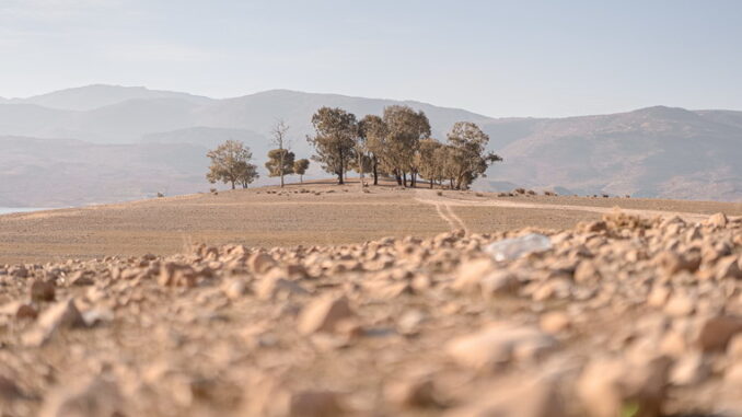 La desertificazione e il rischio globale