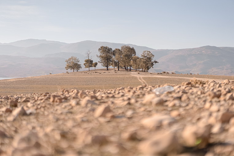 La desertificazione e il rischio globale