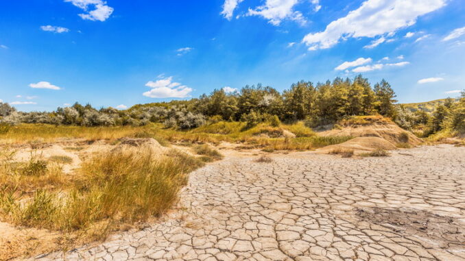 L’impatto della siccità sulla biodiversità