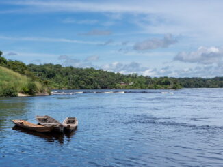 L’importanza delle foreste pluviali per il clima globale