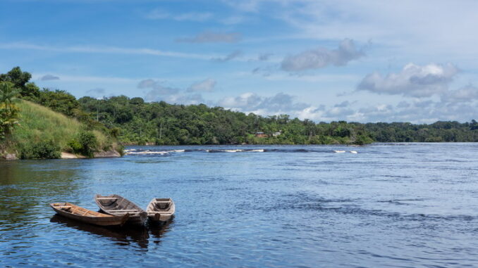 L’importanza delle foreste pluviali per il clima globale