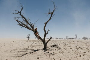 L’importanza della riforestazione nella lotta alla siccità