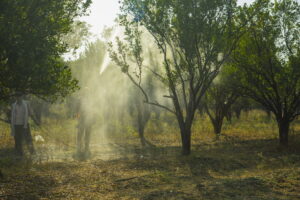 Polveri sottili e agricoltura: un legame sottovalutato