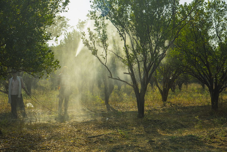 Polveri sottili e agricoltura: un legame sottovalutato