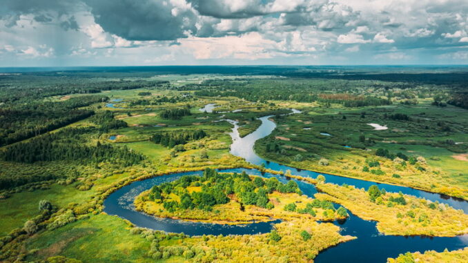 Progetti di conservazione delle foreste pluviali nel mondo