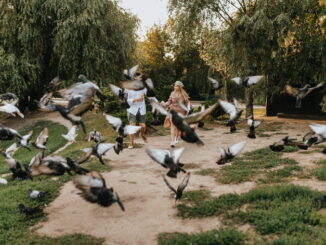 Gli uccelli in pericolo di estinzione: specie simbolo e progetti di salvataggio