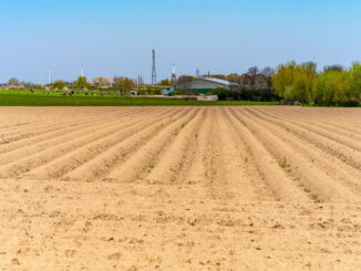 L’effetto del glifosato sulla biodiversità: minaccia per insetti e piante