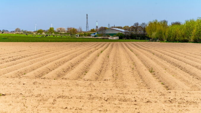 L’effetto del glifosato sulla biodiversità: minaccia per insetti e piante