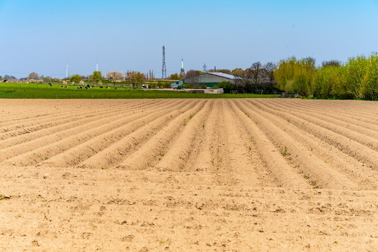 L’effetto del glifosato sulla biodiversità: minaccia per insetti e piante
