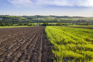 Glifosato: impatti sull’ambiente e sulla salute umana