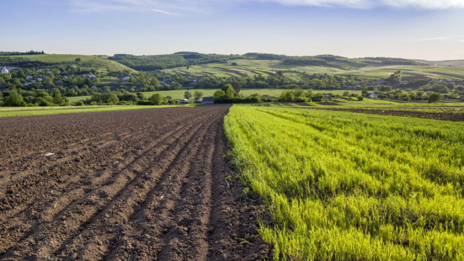 Glifosato: impatti sull’ambiente e sulla salute umana