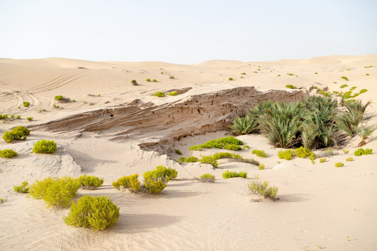 Il cambiamento climatico: sfide e soluzioni per un futuro sostenibile