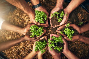 Propositi green per una spesa alimentare consapevole in famiglia