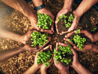 Propositi green per una spesa alimentare consapevole in famiglia