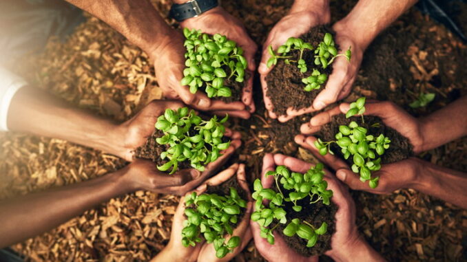 Propositi green per una spesa alimentare consapevole in famiglia