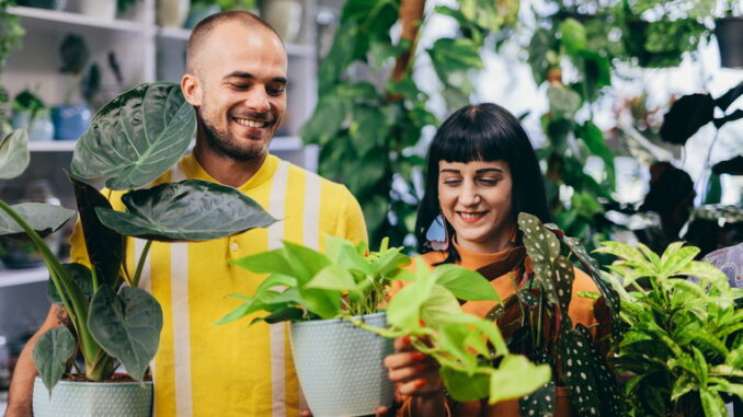 Come ridurre l’uso della plastica in casa con gesti quotidiani Come ridurre l’uso della plastica in casa con gesti quotidiani
