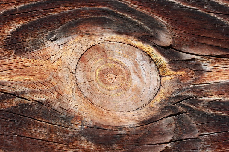 Legno antico: come valorizzarlo e riutilizzarlo in chiave moderna