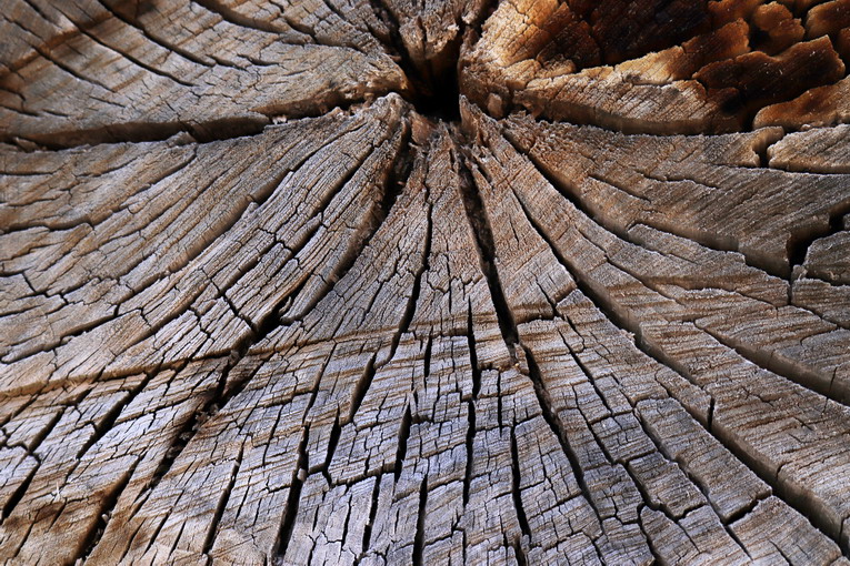 Il ruolo del legno riciclato nell’economia circolare