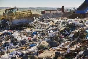 05 I rifiuti organici: gli sbagli più comuni nel compost