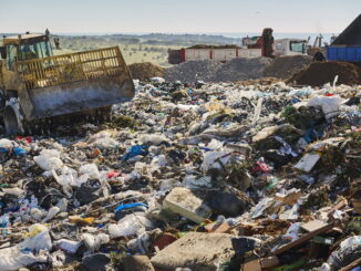 05 I rifiuti organici: gli sbagli più comuni nel compost