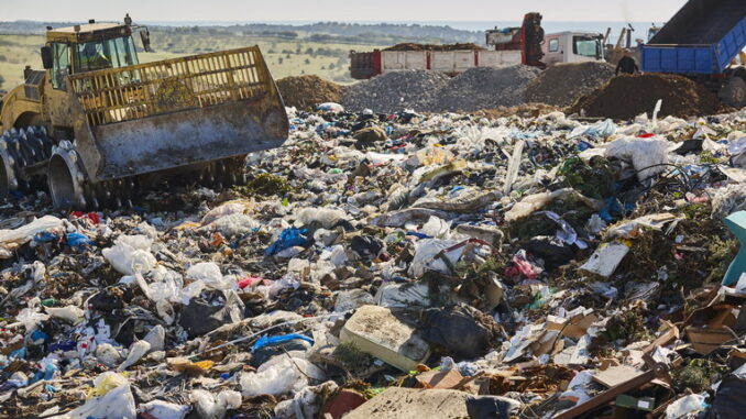 05 I rifiuti organici: gli sbagli più comuni nel compost 05 I rifiuti organici: gli sbagli più comuni nel compost