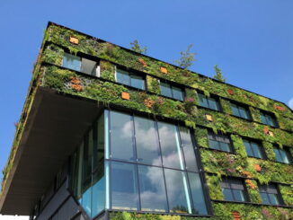 Architettura verde: come gli edifici possono produrre energia pulita