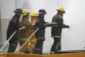 Gli effetti degli incendi sugli ecosistemi
