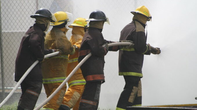 Gli effetti degli incendi sugli ecosistemi Gli effetti degli incendi sugli ecosistemi