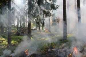 Gli incendi urbani e le loro conseguenze ambientali