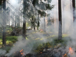 Gli incendi urbani e le loro conseguenze ambientali
