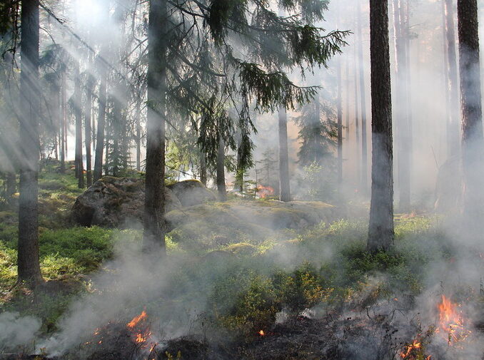 Gli incendi urbani e le loro conseguenze ambientali