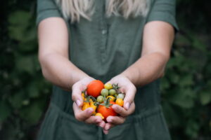 Cibo biologico e dieta: come integrarlo nel menù quotidiano