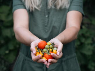 Cibo biologico e dieta: come integrarlo nel menù quotidiano