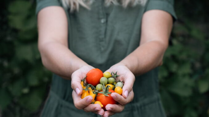 Cibo biologico e dieta come integrarlo nel menù quotidiano Cibo biologico e dieta: come integrarlo nel menù quotidiano