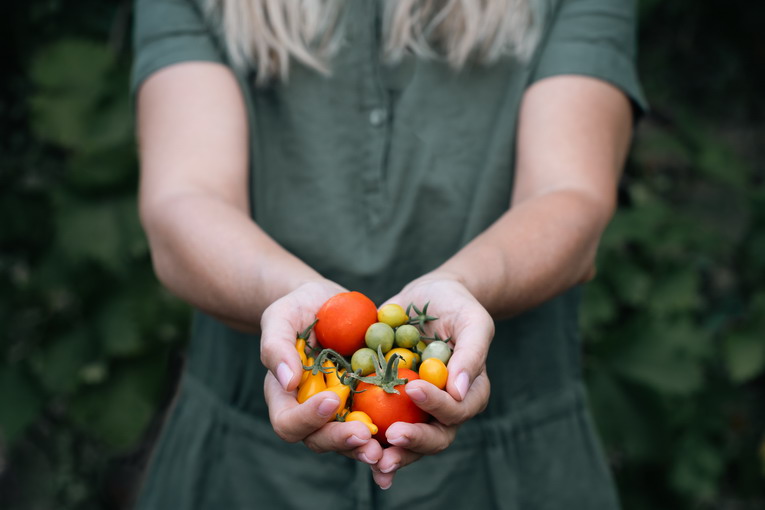 Cibo biologico e dieta: come integrarlo nel menù quotidiano