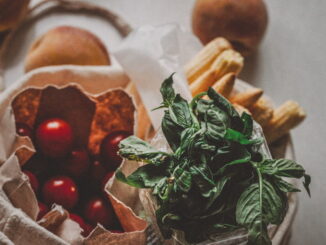Cibo biologico: guida completa a benefici, produzione e sostenibilità